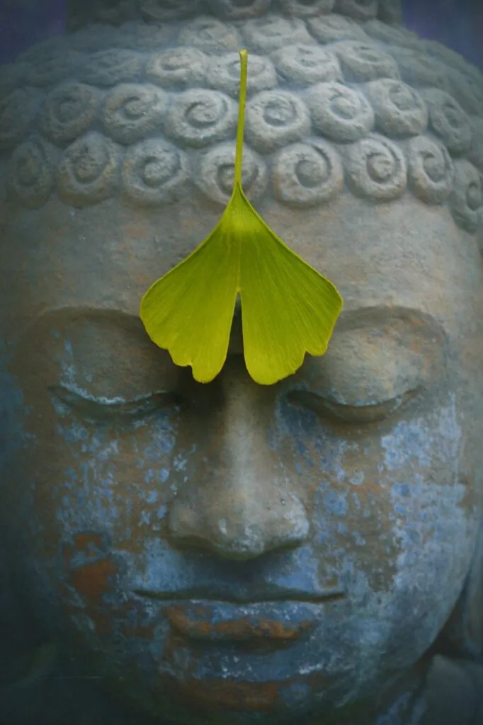 buddha, zen, meditation