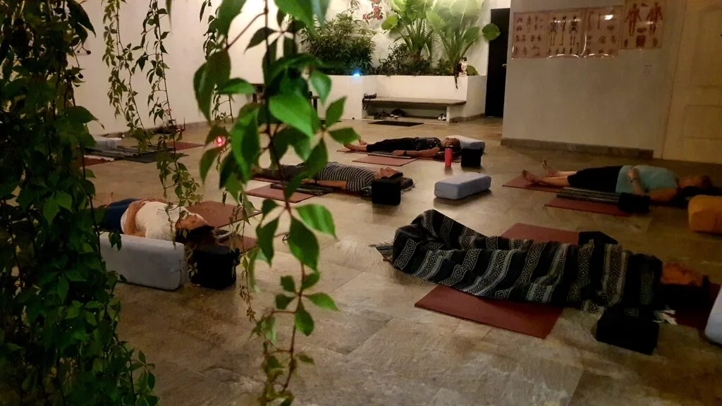 Zenwave Yoga Session at the Vallarta Breeze Yoga Puerto Vallarta Yoga Studio