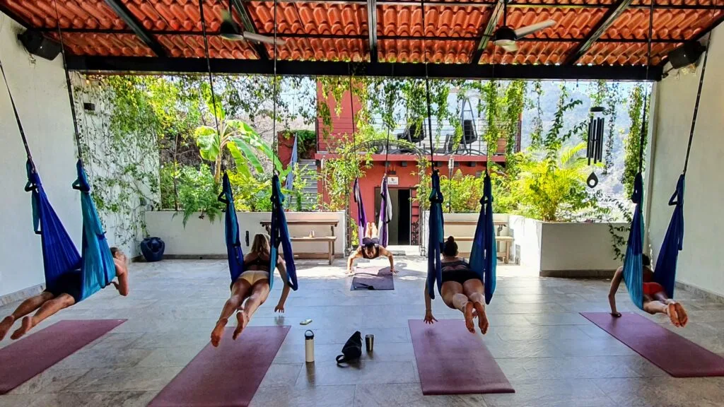 Manuel aerial Locust