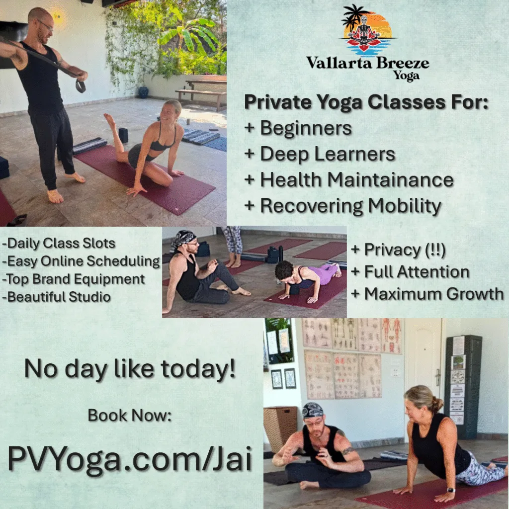 Private class infographic