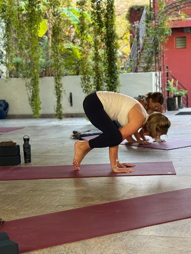 Photo from customer review